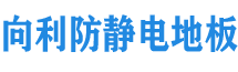 中国「极速1分彩」防静电活动地板有限公司